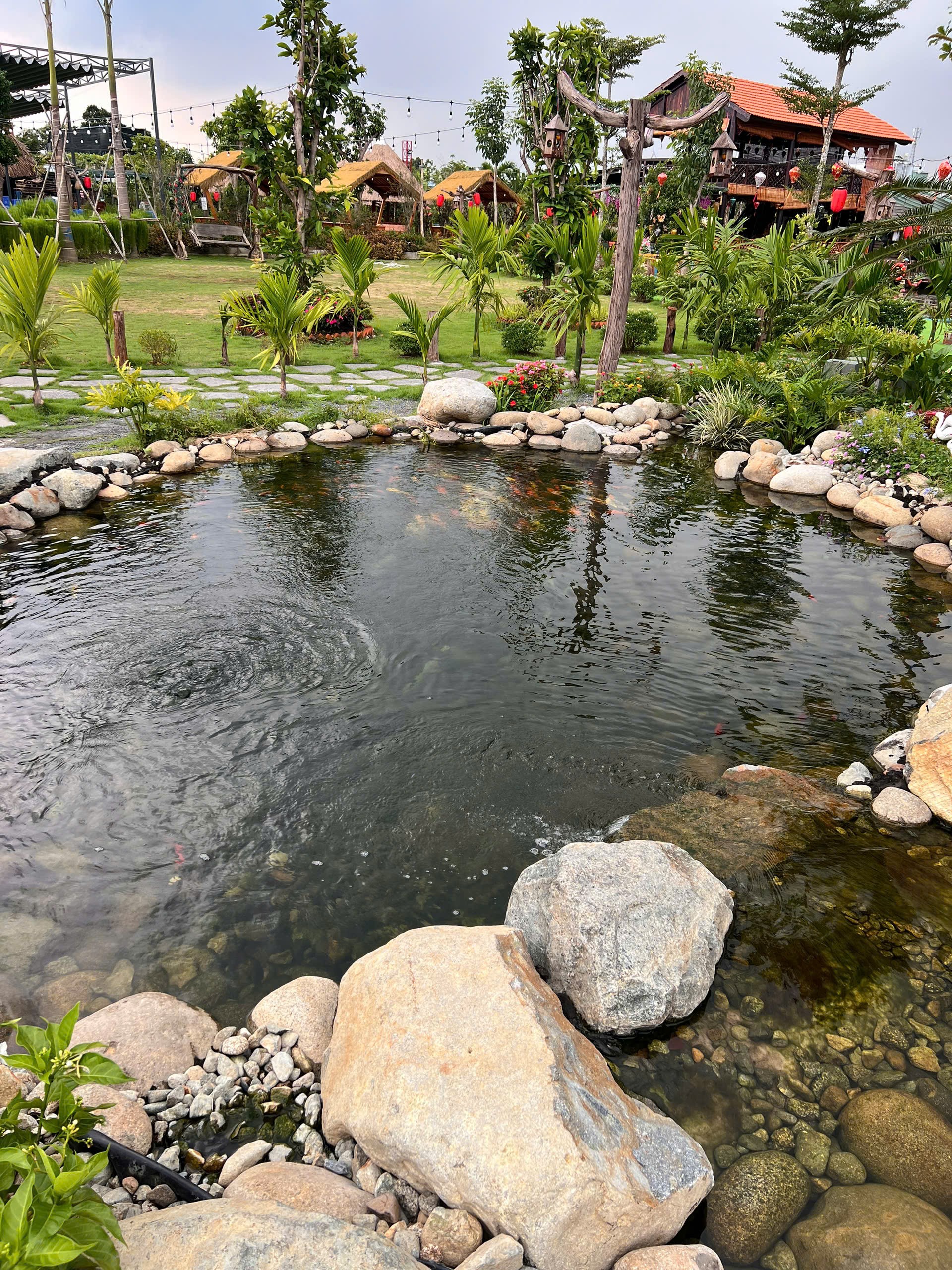 Sân vườn sinh thái ven suối cá koi