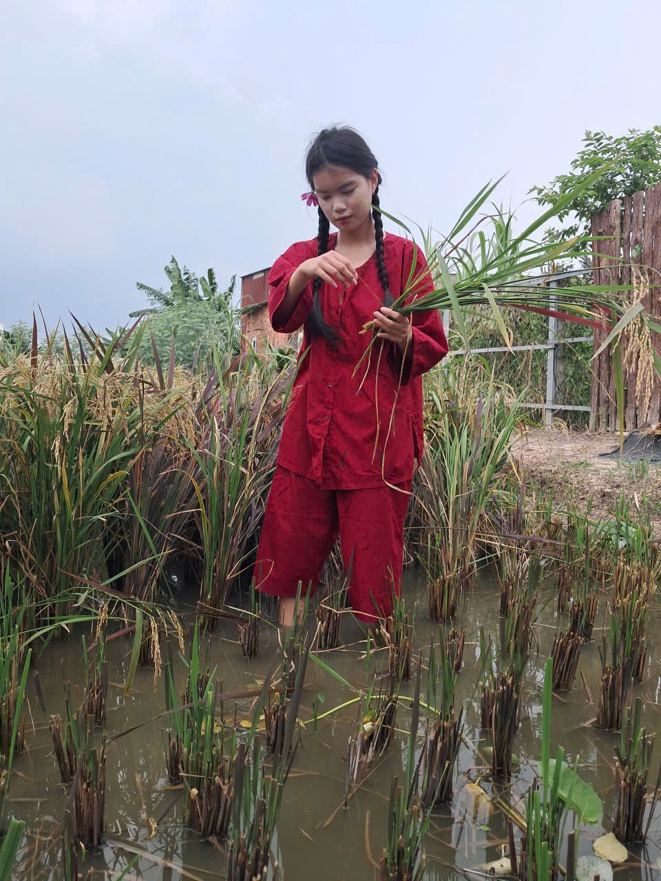 Tiếng cười rộn rã trong trò chơi bịt mắt bắt vịt Sen Vàng Garden