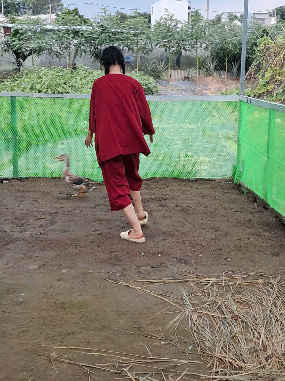 Các bé thiếu nhi hòa mình vào thiên nhiên tại Sen Vàng Garden