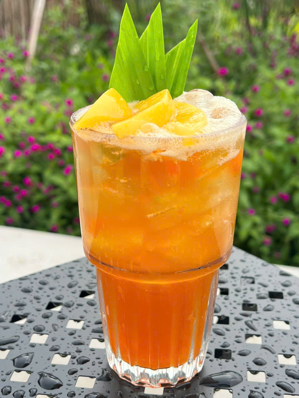 Trà Thái Đỏ Cam Đào Sân Vườn