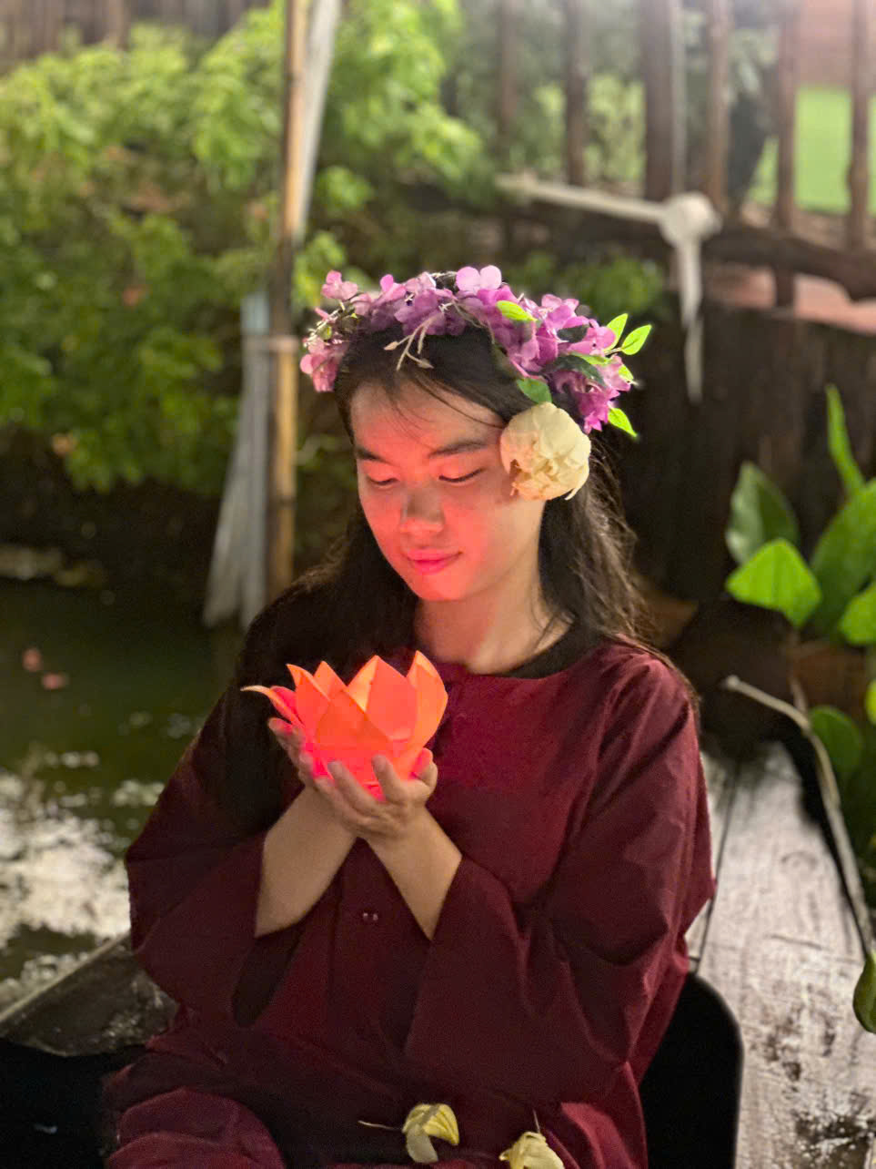 Cận Cảnh Hoa Đăng Hoa Sen