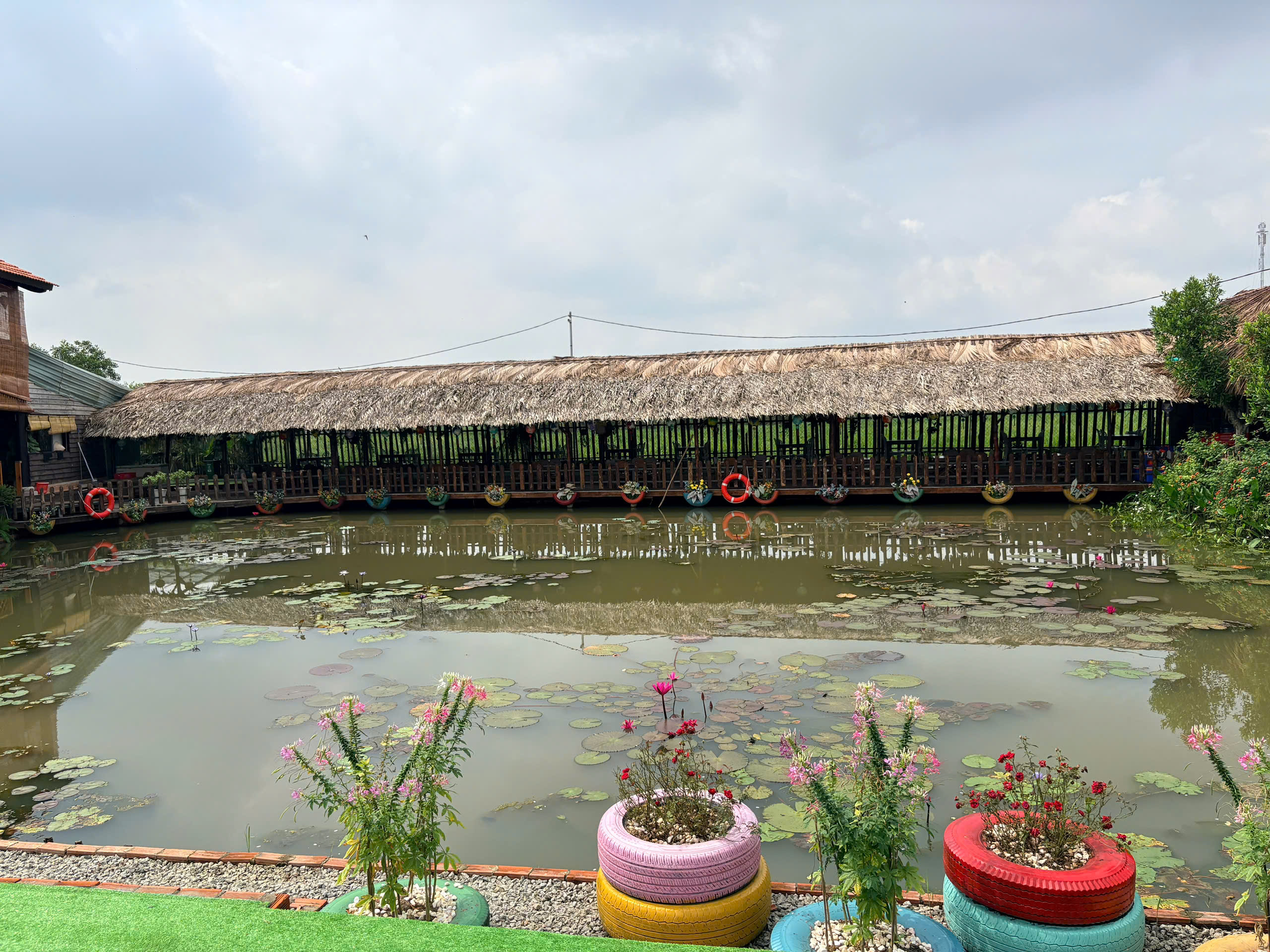 Cảnh đẹp ven hồ Sen Vàng