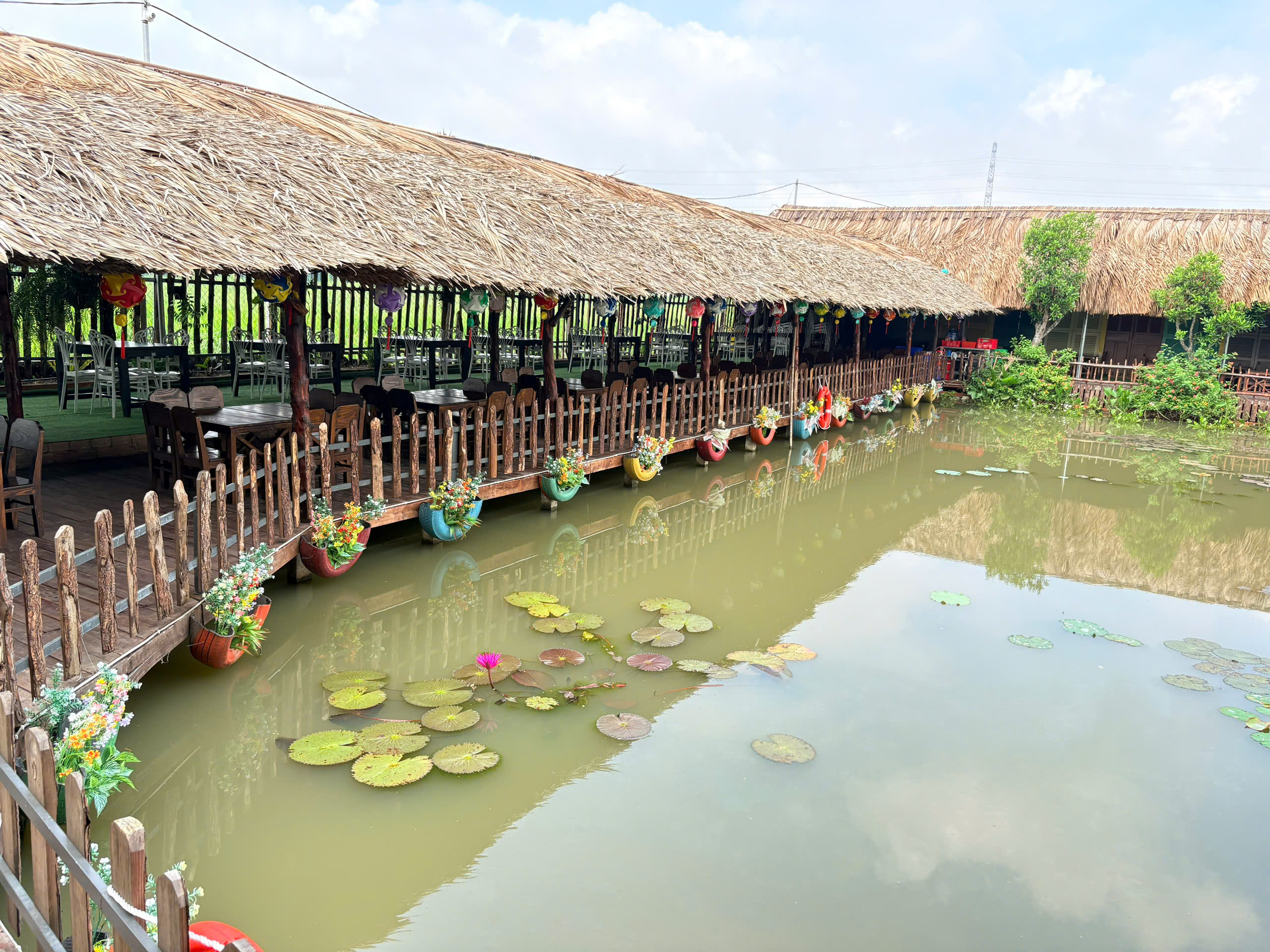 Khám Phá Cảnh Đẹp Ven Hồ Sen Vàng Garden: Chòi Mái Lá, Hồ Hoa Súng & Góc Check-In Triệu Like